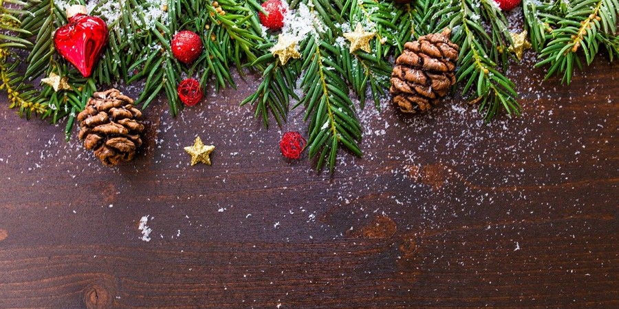 Tannenzweige,Schnee,Sterne