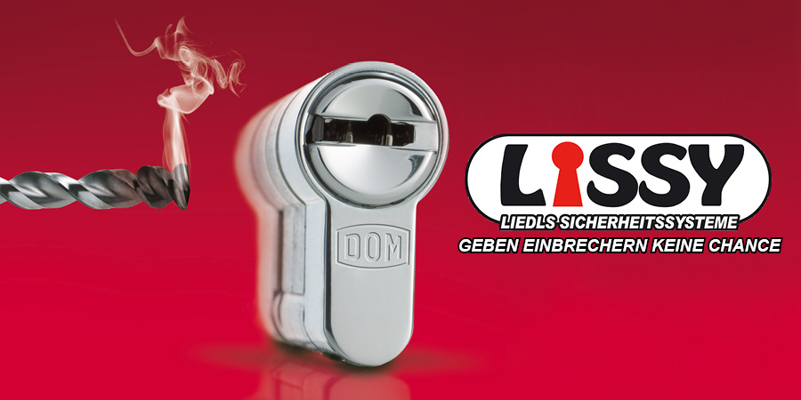 Zlindertausch Wien, Schlosstausch Wien, Einbruchschutz Wien, Balkenschloss Wien